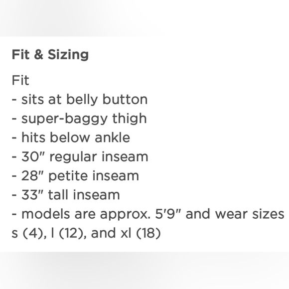 **NWT**High-Rise Baggy Wide Leg Jean - Picture 5 of 7